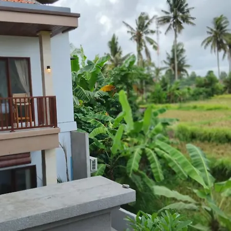 Private Modern Villa 2 Kamar Tidur Di Ubud